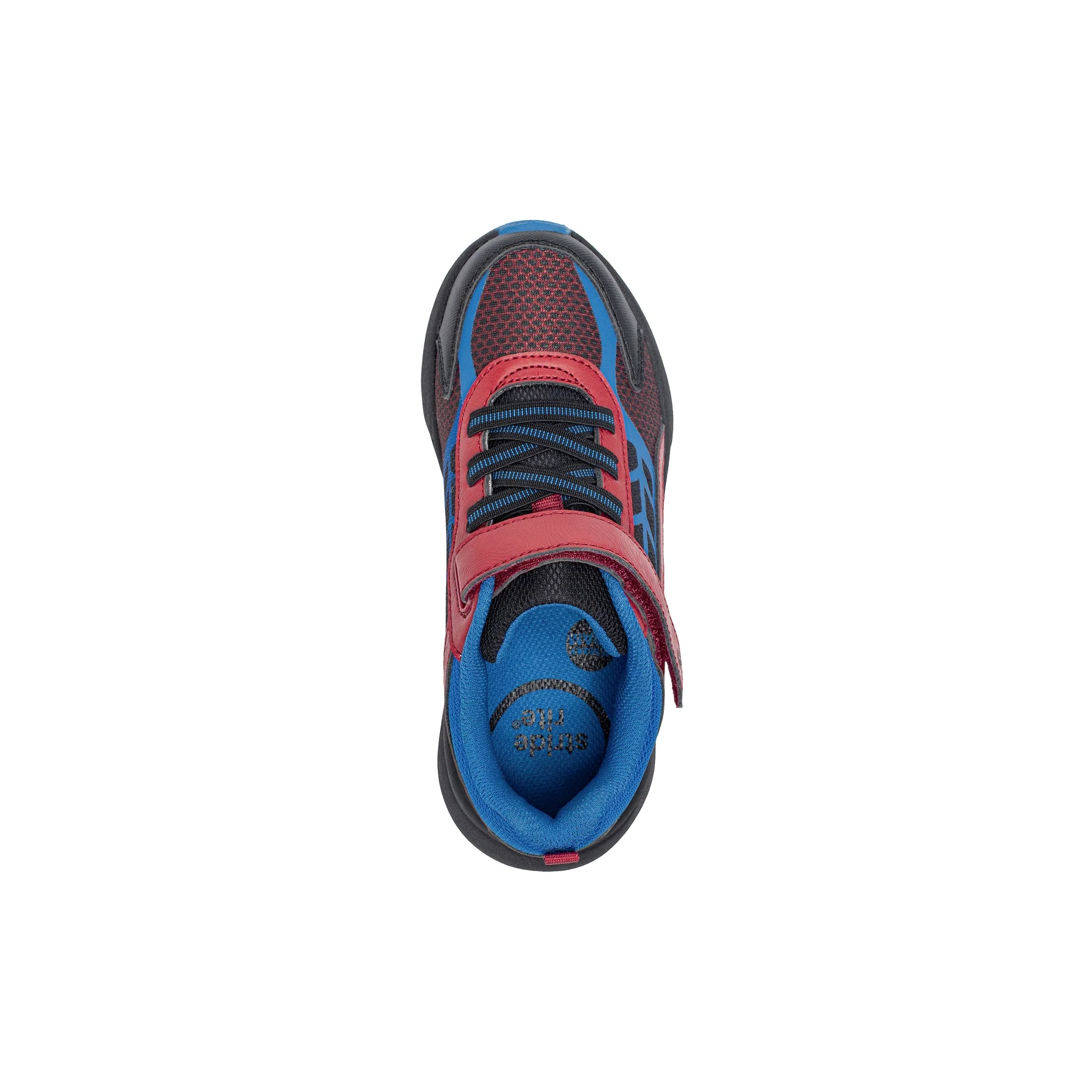 Sr Equilibrium - Image 13